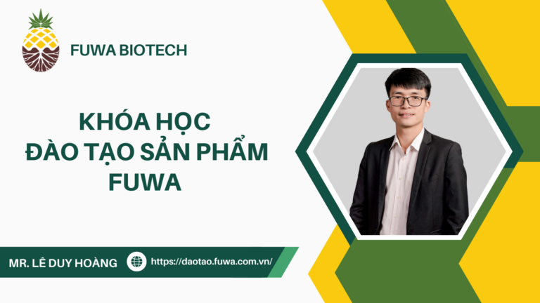 KHÓA ĐÀO TẠO SẢN PHẨM FUWA